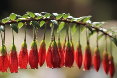 中山东区2私人快速借钱网，轻松解决资金难题