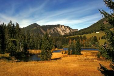 中山东区2民间私贷攻略：揭秘低成本借贷的秘密