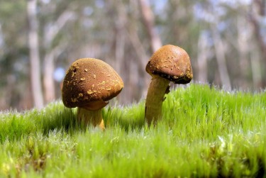 中山东区2私人老板放款：轻松融资的秘密通道